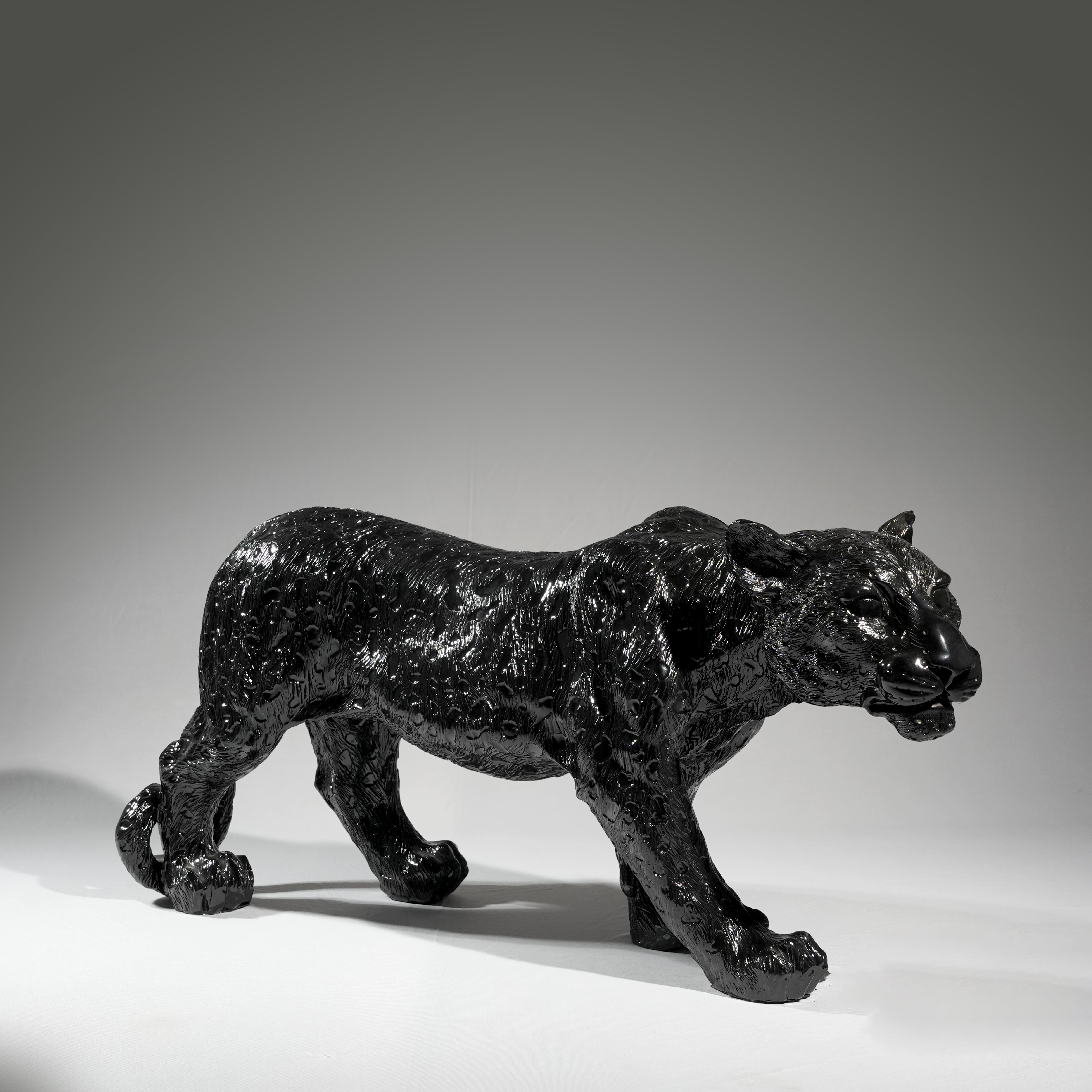 Black Cheetah