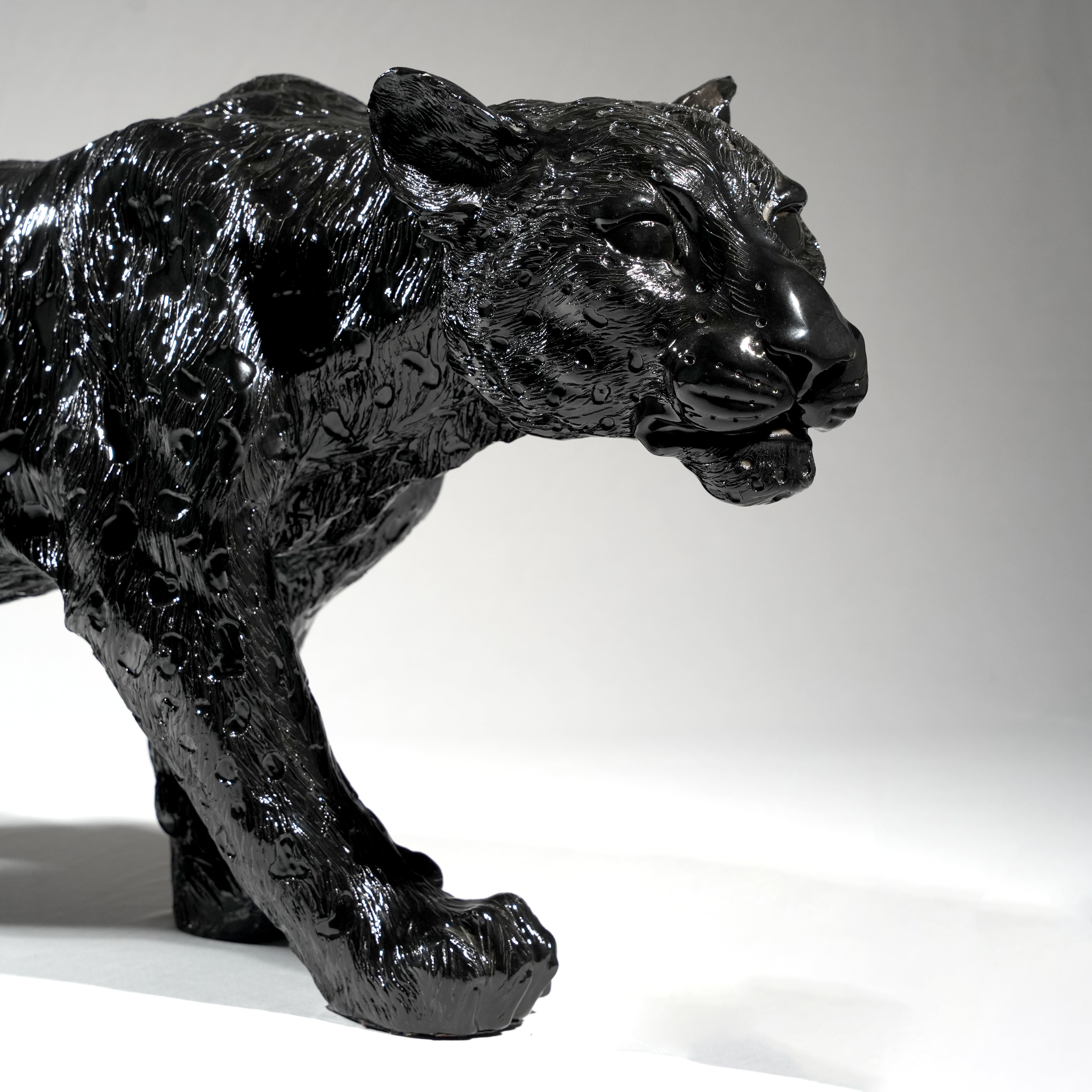 Black Cheetah