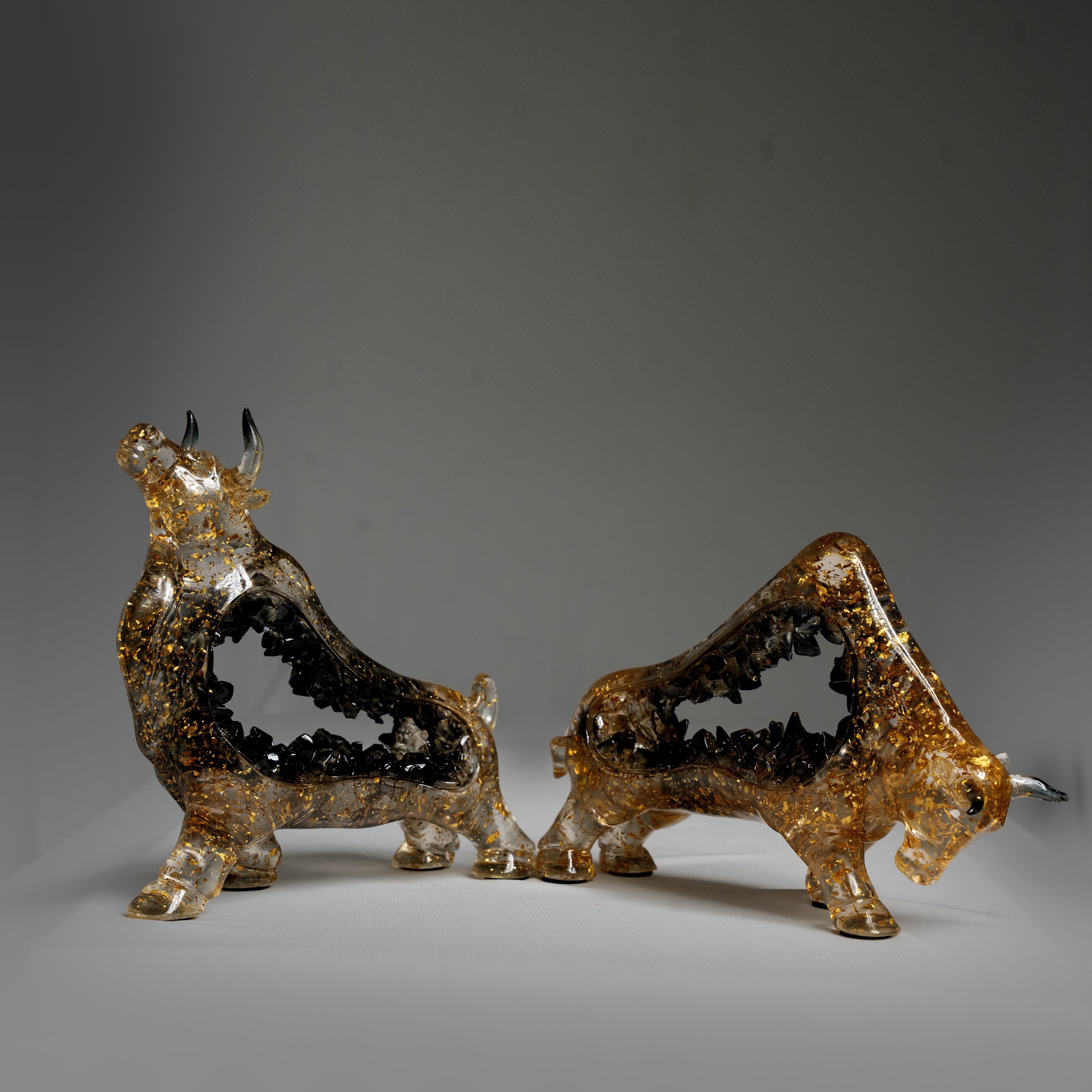 The Money Manifestation Bulls