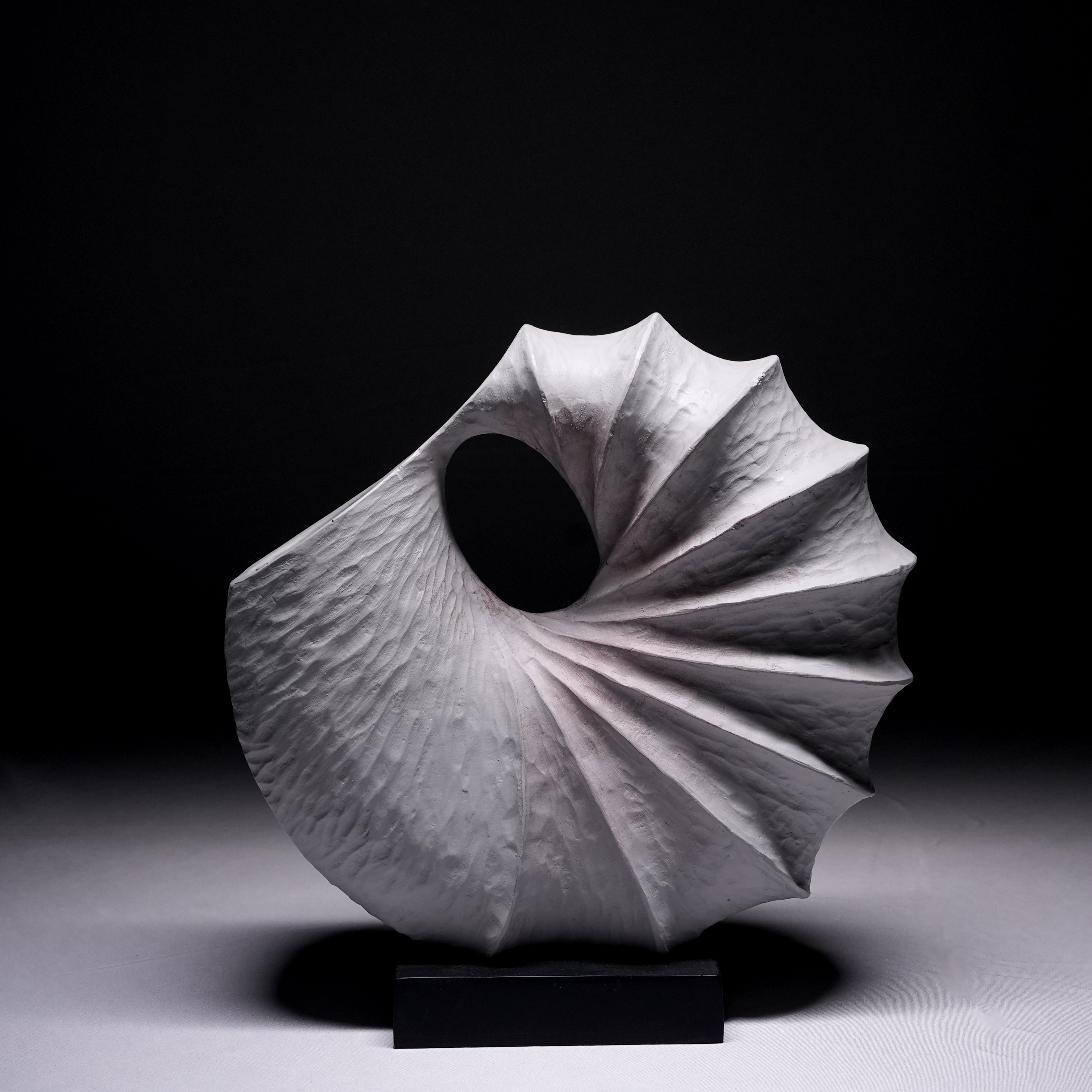 SPIRALIS — Sculptural Seashell Decor